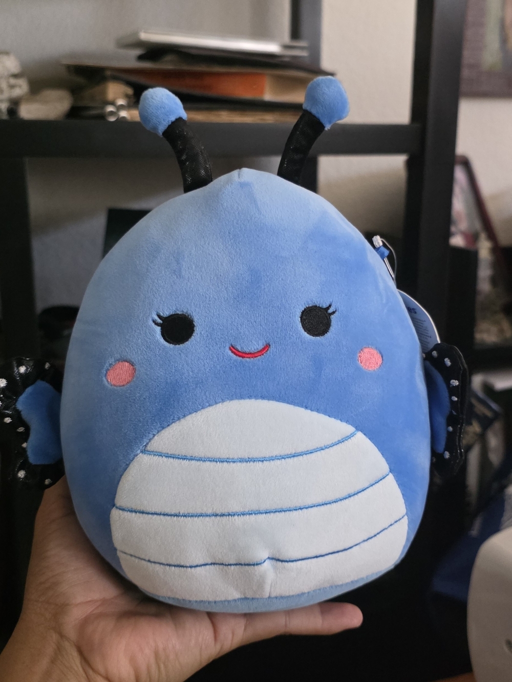Squishmallows Blue Plush Bug with White Striped Belly